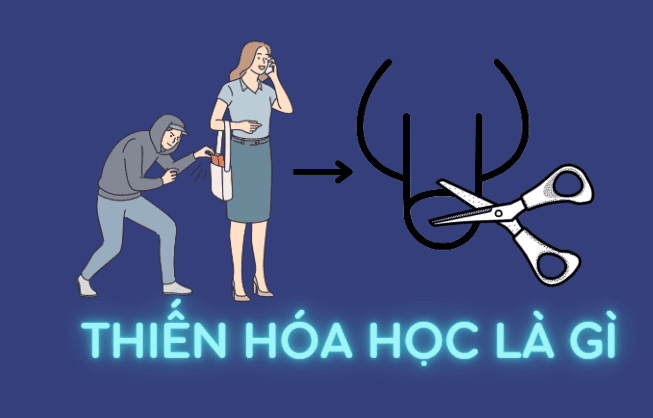 thiến hóa học là gì