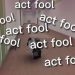 act fool là gì?