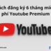Cách đăng ký 6 tháng miễn phí Youtube Premium 11