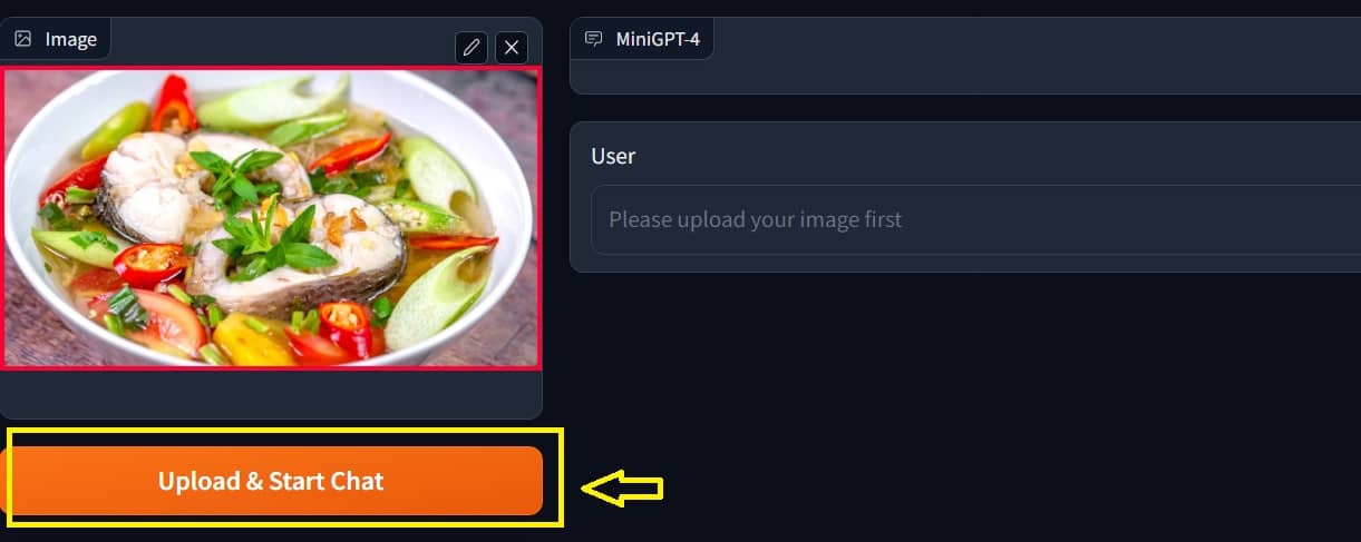 How to use MiniGPT-4