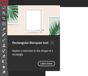 Generative Fill trong Photoshop có thần thánh như lời đồn?