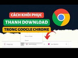 How to restore the Download bar at the bottom of Google Chrome