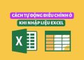 Cách tự động co dãn kích thước dữ liệu trong Excel 17