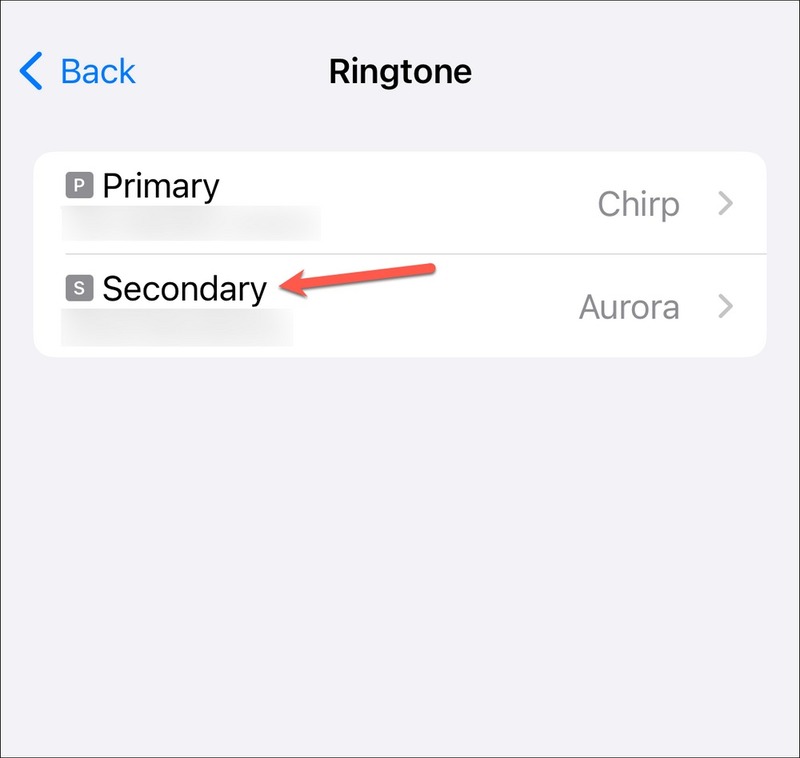 How to set separate ringtones for each SIM on iPhone