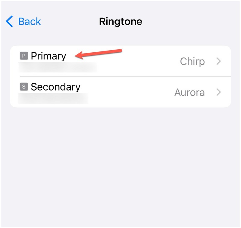 How to set separate ringtones for each SIM on iPhone