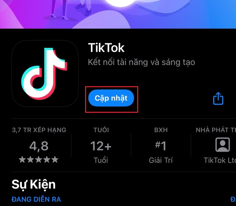 Use Tik Tok without internet