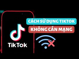 How to watch Tik Tok without Internet