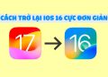 Cách hạ cấp iOS 17 Beta xuống iOS 16 không mất dữ liệu 13