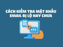 How to check if email password is leaked or not?