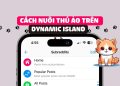 Cách nuôi thú ảo trên Dynamic Island iPhone 14 Pro 16