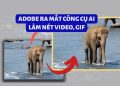 Adobe ra mắt công cụ Project Res Up - làm nét video, GIF bằng AI 5