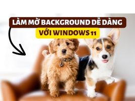 How to blur photo background with Photos app on Windows 11