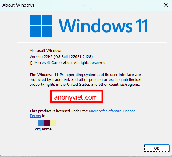 how to remote desktop windows 11