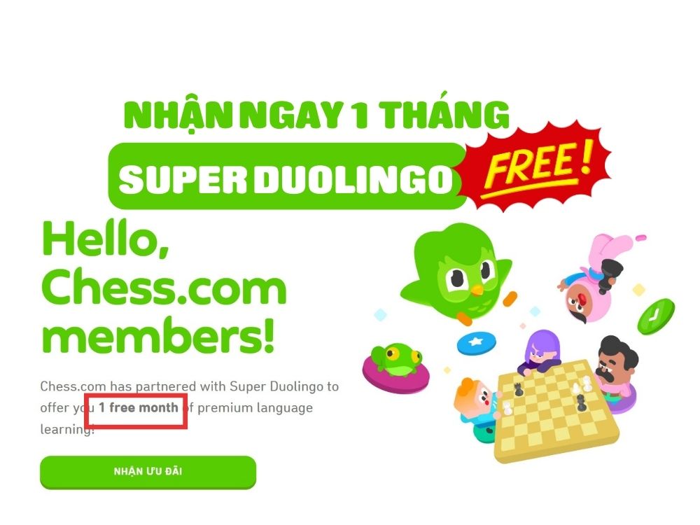 Nhận miễn phí 1 tháng Super Duolingo nhân dịp Black Friday AnonyViet