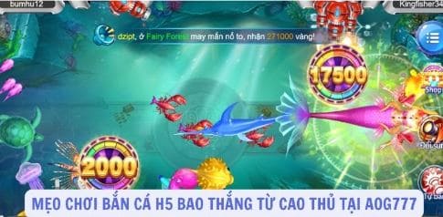 Cao thủ bắn cá 3D online - Khám Phá Thế Giới Bắn Cá Đỉnh Cao