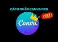 Hướng dẫn nhận Canva Pro miễn phí, không tốn xu nào 6