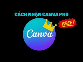 Instructions for getting Canva Pro for free, without spending a dime