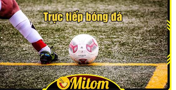 Mitom tv trực tiếp bóng đá hot nhất hiện nay   Mitom1.fun