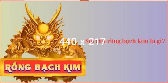 Hướng dẫn soi cầu rồng bạch kim hiệu quả dành cho newbie