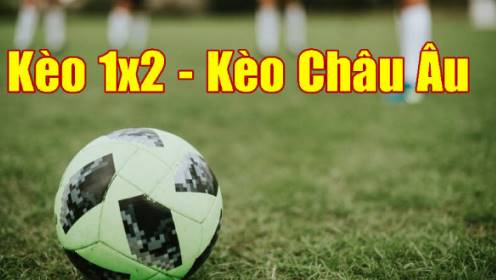 Bsport chia sẻ cách đọc kèo bóng đá châu Âu chuẩn nhất năm