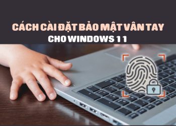 cai van tay cho windows 11