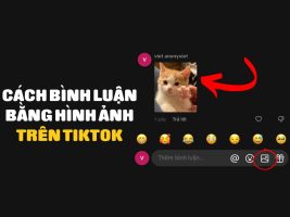 How to comment on TikTok with images
