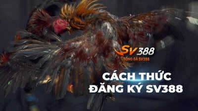 Hướng dẫn đăng ký SV388 chi tiết, nhanh chóng cho tân thủ 