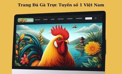 Hướng dẫn đăng ký SV388 chi tiết, nhanh chóng cho tân thủ 