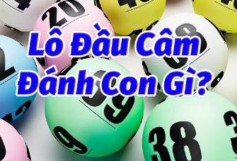 Bí kíp bật mí từ những lão làng khi gặp đầu câm đánh con gì