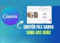 Tạo tài khoản Canva Edu miễn phí để thiết kế ảnh Online đầy đủ tính năng