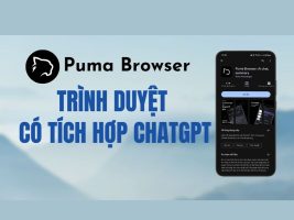 Puma Browser: Smart web browser with integrated AI