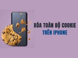 Instructions for deleting all cookies on iPhone Instructions for deleting all cookies on iPhone