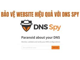 DNS Spy: DNS Analysis Tool of Any Domain