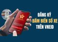 Hướng dẫn kiểm tra điểm giấy phép lái xe