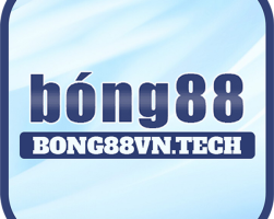 Giới thiệu bong88hub.com - Nền tảng cá cược hàng đầu Việt Nam