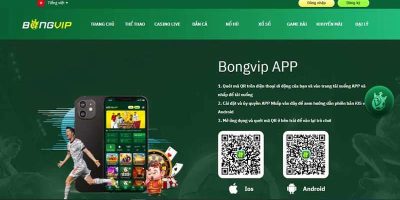 Tải App Bongvip   Hướng Dẫn Chi Tiết Cho Người Mới Cá Cược