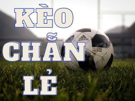 Kèo chẵn lẻ tại 12bet   có thực sự đơn giản như bạn nghĩ