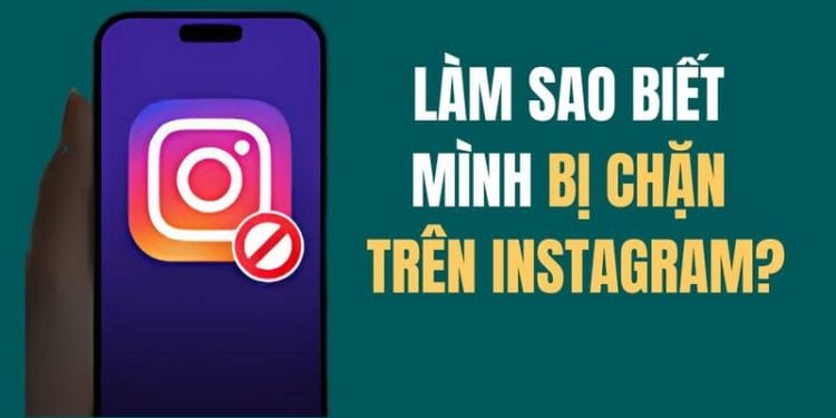 Trang chủ 49