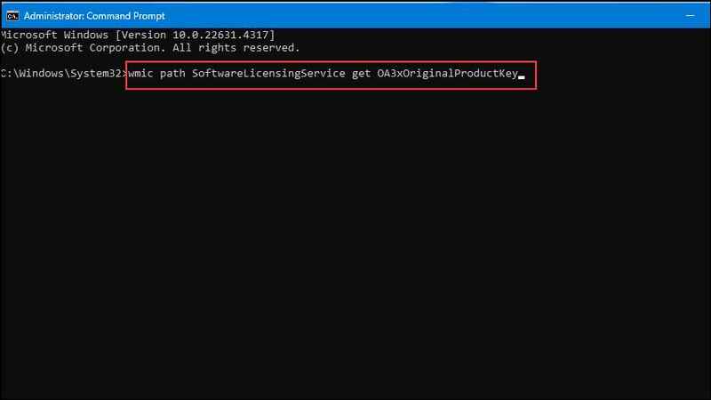 Paste the command into the CMD window