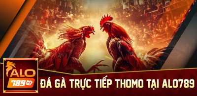 Giới Thiệu Đá Gà Thomo Tại Nhà Cái Alo789 – Trải Nghiệm Đỉnh Cao Cho Người Yêu Thích Cảm Giác Mạnh