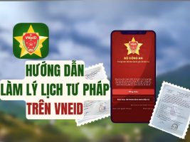 Instructions for making judicial records on VnEID