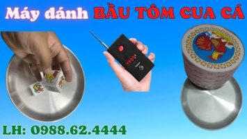 Bật mí những dấu hiệu bầu cua bịp cho người chơi mới