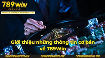 789Win   Nhà Cái Được Các Cược Thủ Yêu Thích Số 1 Việt Nam