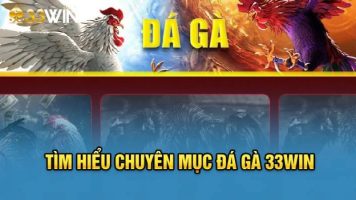 Khám phá sảnh đá gà 33win cùng cú đấm kịch tính đỉnh cao