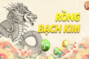 Rồng Bạch Kim 555   Chia Sẻ Kinh Nghiệm Trúng Độc Đắc