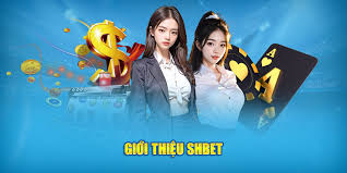 Câu Hỏi Thường Gặp về SHBET: Giải Đáp Tất Cả Thắc Mắc