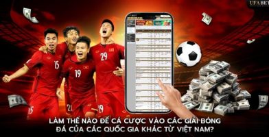 Football Leagues for Betting from Vietnam