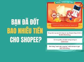 How to check how much money you spent on Shopee in 2024?