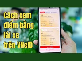 Instructions for checking driving license points