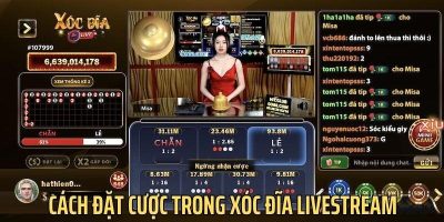 Đổi gió với xóc đĩa Livestream 789Club